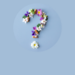 complement-alimentaire-myveggie-test-cure-2-2